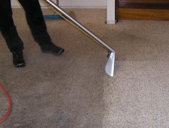 Same Day Carpet Cleaning Forest Lake